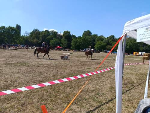 IMG_20260808_143904
